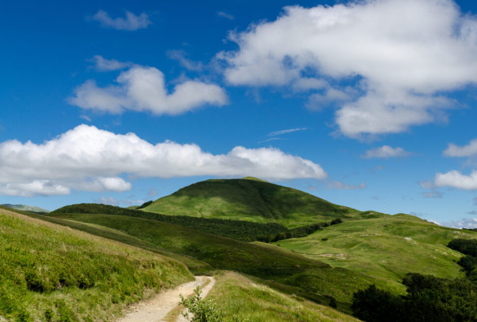 Monte Asinara, 1750 mt, zona Passo di Pradarena